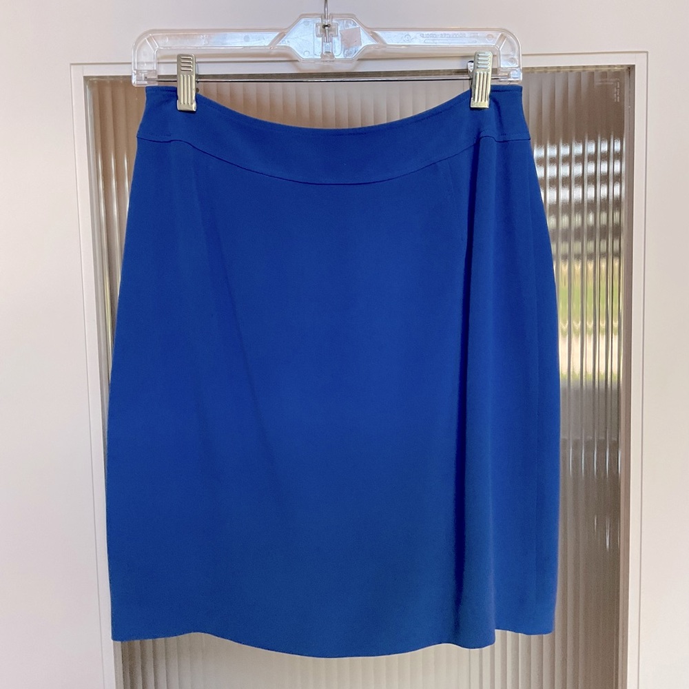 Pursuits, Ltd Petite Skirt